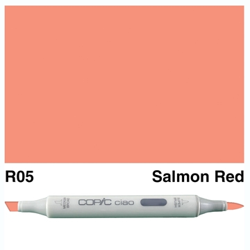 Picture of Copic Ciao R05-Salmon Red