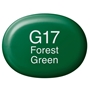 Picture of Copic Sketch G17-Forest Green